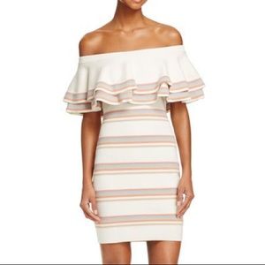 Endless rose off the shoulder knit dress